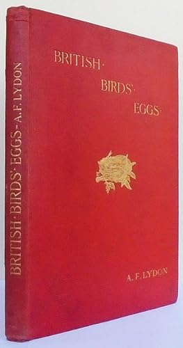British Birds Eggs.