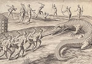 Killing Crocodiles Engraving