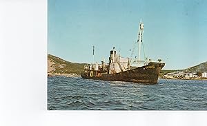 Ship Whalechaser At Whaling Station Postcard