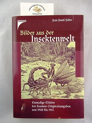 Seller image for Bilder aus der Insektenwelt : autorisierte bersetzung aus: "Souvenirs entomologiques", I. - X. srie, "Moeurs des insectes" und "La vie des insectes" ; erste bis vierte Reihe. for sale by Chiemgauer Internet Antiquariat GbR