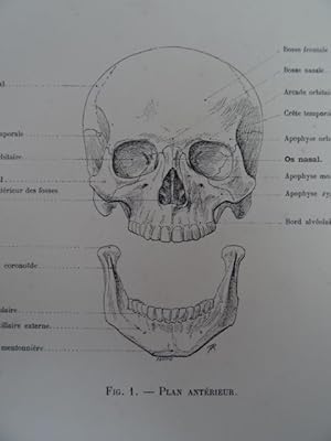 Anatomie artistique. Description des formes extérieures du corps humain. Text- und Tafelteil in 1...