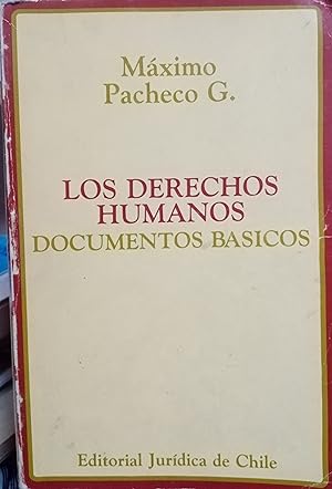 Derechos Humanos : Documentos básicos