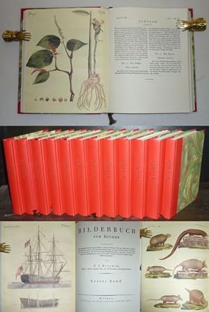 Bilderbuch für Kinder enthaltend eine angenehme Sammlung von Thieren, Pflanzen, Blumen, Früchten,...
