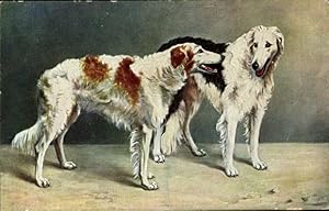 Ansichtskarte / Postkarte Zwei Windhunde, Hundeportrait