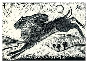 Pack of 5 Hare Fine Art Greeting Cards by Kay Leverton.