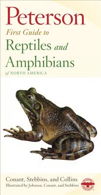 Seller image for Reptiles and Amphibians (Paperback or Softback) for sale by BargainBookStores