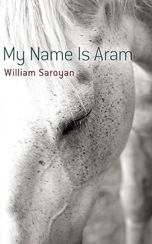 Immagine del venditore per My Name Is Aram venduto da Smartbuy