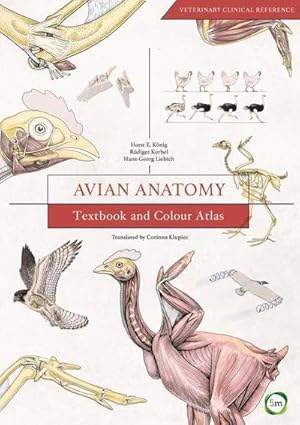 Image du vendeur pour Avian Anatomy 2nd Edition: Textbook and Colour Atlas mis en vente par AHA-BUCH GmbH