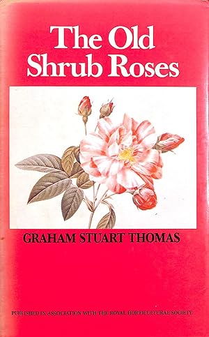 Old Shrub Roses