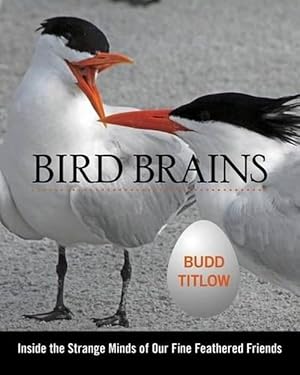 Seller image for Bird Brains (Hardcover) for sale by Grand Eagle Retail