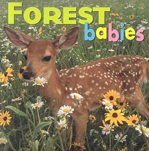 Imagen del vendedor de Forest Babies (Board Books) a la venta por Grand Eagle Retail