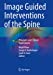 Seller image for Image Guided Interventions of the Spine: Principles and Clinical Applications [Soft Cover ] for sale by booksXpress