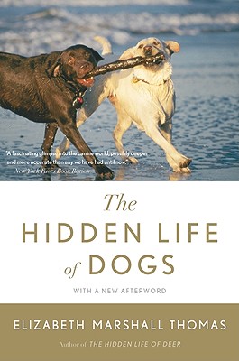 Seller image for The Hidden Life of Dogs (Paperback or Softback) for sale by BargainBookStores