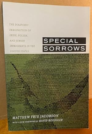 Immagine del venditore per Special Sorrows: the Diasporic Imagination of Irish, Polish, and Jewish Immigrants in the United States venduto da Loud Bug Books