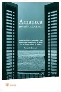 Imagen del vendedor de Amantea a la venta por Green Libros