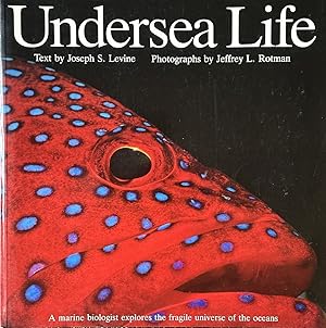 Seller image for Undersea Life - A Marine Biologist Explores the Fragile Universe of the Ocean for sale by Dr.Bookman - Books Packaged in Cardboard