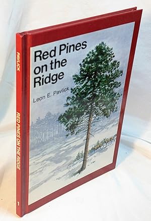 Red Pines on the Ridge