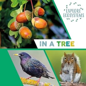 Seller image for Explore Ecosystems: In a Tree (Hardcover) for sale by Grand Eagle Retail
