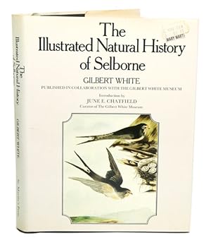 Image du vendeur pour The illustrated natural history of Selborne. mis en vente par Andrew Isles Natural History Books