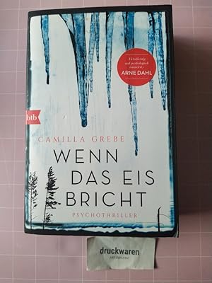 Wenn das Eis bricht. Psychothriller.