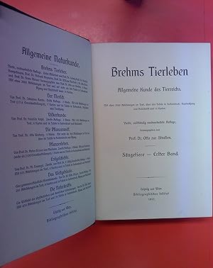 Immagine del venditore per Brehms Tierleben - Zehnter Band: Sugetiere - Erster Band (4. Auflage) venduto da biblion2