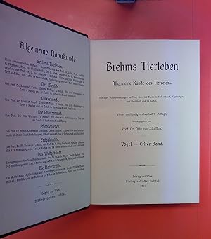 Immagine del venditore per Brehms Tierleben - Sechster Band: Vgel - Erster Band (4. Auflage) venduto da biblion2