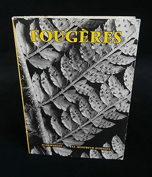 Seller image for L'ATELIER DU PRE CASTOR PRSENTE : FOUGRES . for sale by Librairie Franck LAUNAI