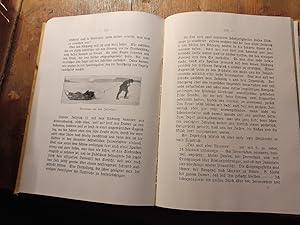 Imagen del vendedor de Durch Grnlands Eiswste Reise der Deutsch-Schweizerischen Grnlandexpedition 1909 auf das Inlandeis. a la venta por Windau Antiquariat