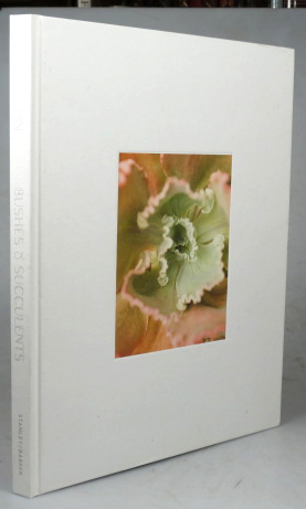 Seller image for Bushes & Succulents for sale by Bow Windows Bookshop (ABA, ILAB)