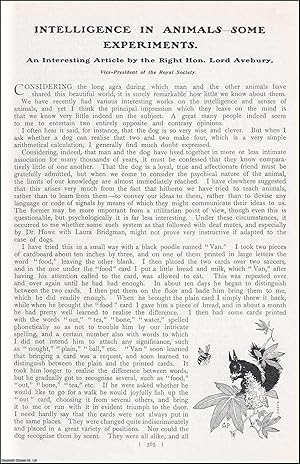 Bild des Verkufers fr Intelligence in Animals : some Experiments. An uncommon original article from the Harmsworth London Magazine, 1902. zum Verkauf von Cosmo Books