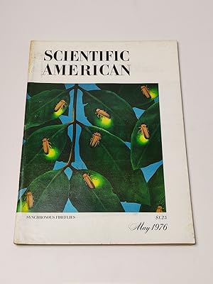 Scientific American : May 1976 : Synchronous Fireflies
