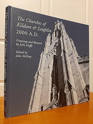Image du vendeur pour The Churches of Kildare & Leighlin 2000 A.D. mis en vente par Collectible Books Ireland