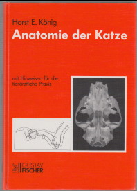 Imagen del vendedor de Anatomie der Katze : mit Hinweisen fr die tierrztliche Praxis. Horst E. Knig a la venta por Antiquariat ExLibris Erlach Eberhard Ott