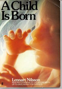 Seller image for A Child Is Born for sale by Book Haven