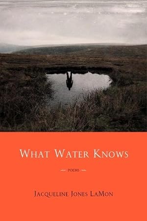 Seller image for What Water Knows (Paperback) for sale by CitiRetail