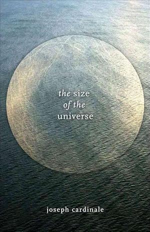 Bild des Verkufers fr The Size of the Universe (Paperback) zum Verkauf von CitiRetail