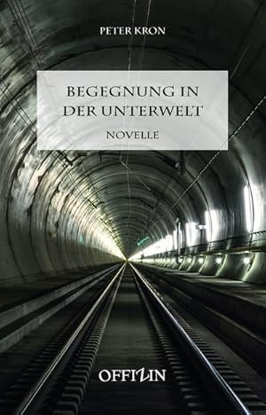 Imagen del vendedor de Begegnung in der Unterwelt a la venta por BuchWeltWeit Ludwig Meier e.K.