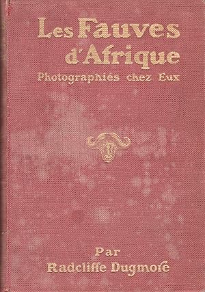 Les fauves d'Afrique photographiés chez eux.