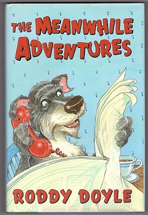 Imagen del vendedor de The Meanwhile Adventures a la venta por Ainsworth Books ( IOBA)