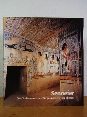 Immagine del venditore per Sennefer. Die Grabkammer des Brgermeisters von Theben venduto da Antiquariat Weber