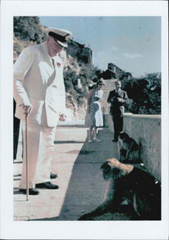 Sir Winston Churchill in Gibraltar viewing monkeys on an embankment. Original color photograph.