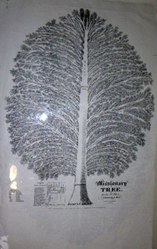 Missionary Tree. By Caroline D. Hunt. Large format reproduction.