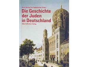 Imagen del vendedor de Die Geschichte der Juden in Deutschland a la venta por Agrotinas VersandHandel