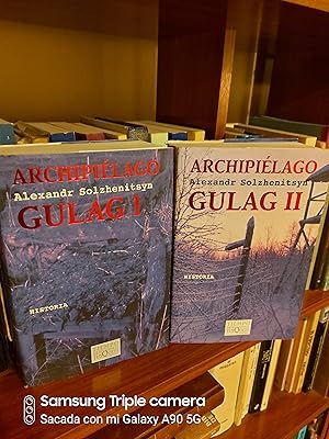 Imagen del vendedor de ARCHIPIELAGO GULAG. Ensayo de investigacin literaria (1918-1956) Tomos I Y II a la venta por TRANSATLANTICO LIBROS