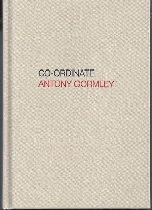 Bild des Verkufers fr ANTONY GORMLEY Co-Ordinate - Galeeria Continua - San Gimignano July-September 2017 zum Verkauf von ART...on paper - 20th Century Art Books