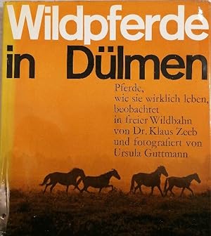Bild des Verkufers fr Wildpferde in Dlmen zum Verkauf von Buchhandlung Loken-Books