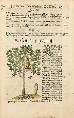 Image du vendeur pour Kreutterbuch darin vnderscheidt Name(n) vnnd wrckunng der Kreutter, Stauden, Hecken vnd Bemen, sampt iren Frchten, so inn Tetschen Landen wachsen. auB langwiriger vnnd gewisser erfahrung beschriben. Vnd jetzund von newem fIeiBig vbersehen, gebessert vnd gemehret. mis en vente par Librairie Camille Sourget