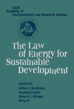 Bild des Verkufers fr The Law of Energy for Sustainable Development zum Verkauf von AHA-BUCH GmbH