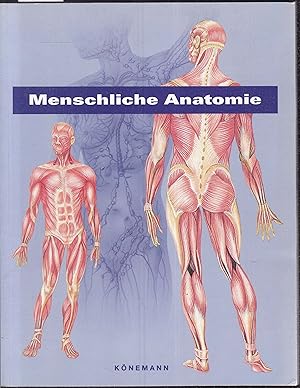 Imagen del vendedor de Menschliche Anatomie a la venta por Graphem. Kunst- und Buchantiquariat