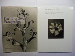 Karl Blossfeldt *. Fotografien. Bayerische Staatsgemäldesammlungen, Sammlung Moderne Kunst Pinako...